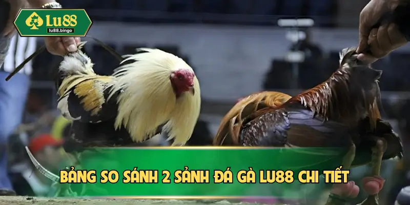 Bảng so sánh 2 sảnh đá gà Lu88 chi tiết