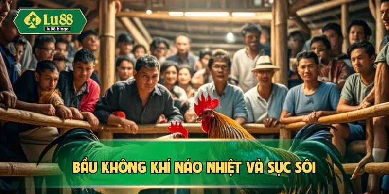 Bầu không khí náo nhiệt và sục sôi