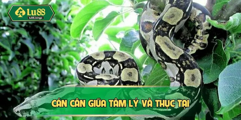 Cán cân giữa tâm lý và thực tại