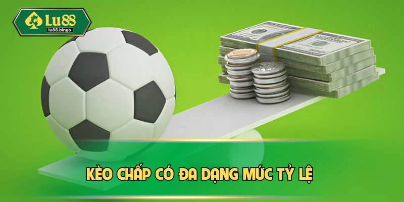 Cược HDP rất đa dạng tỷ lệ