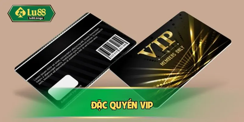 dac-quyen-vip