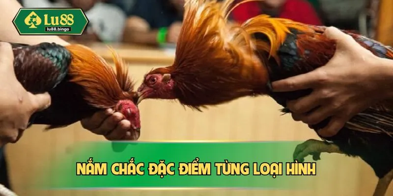 Nắm chắc đặc điểm từng loại hình