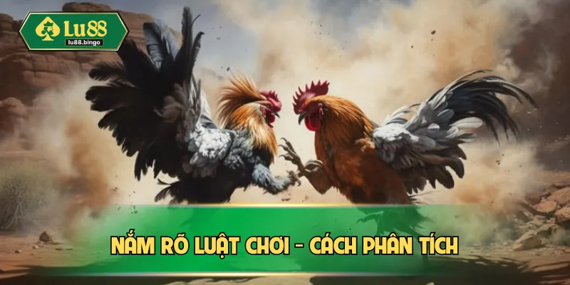 Nắm rõ luật chơi - cách phân tích