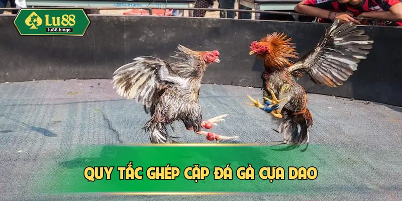 Quy tắc ghép cặp đá gà cựa dao