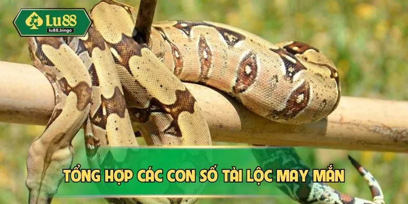 Tổng hợp các con số tài lộc may mắn