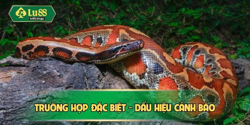 Trường hợp đặc biệt - Dấu hiệu cảnh báo